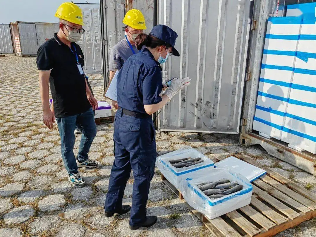 台灣冷凍水產到大陸